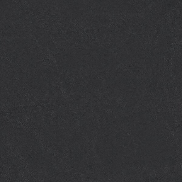 Grand Sierra Gra 36349200 Black upholstery fabric swatch
